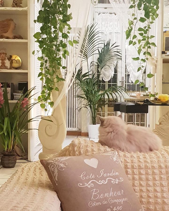 مبيت وإفطار بولونيا Stella Del Mar المظهر الخارجي الصورة